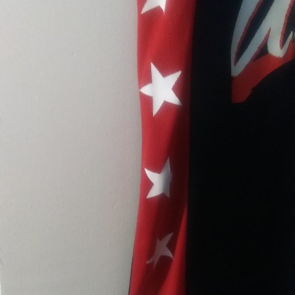 96 Glenn Robinson Team USA Olympic Jersey by Champ - Picture 5 of 9